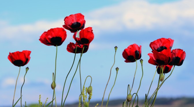 Prayer for Paris and Beyond