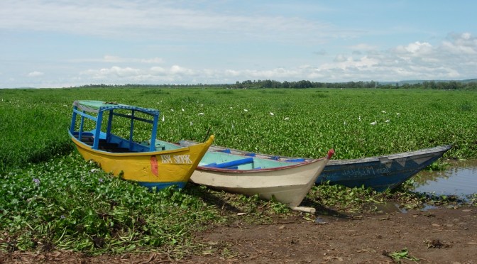 Nero’s Expedition up the Nile