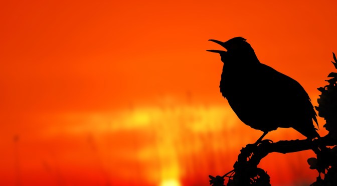 Everything Is Holy Now